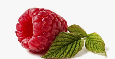 Berry Unique - Infuse Your Spa Menu with Berries for Results-Driven Treatments!