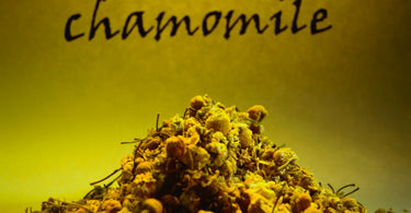 Stay Calm with Chamomile in Your Spa