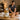 Banyan Botanicals Ayurvedic products for spa and wellness professionals
