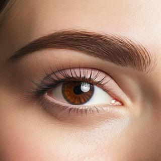 Close-up of perfectly defined eyebrow