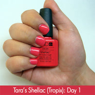 Shellac Attack - The Single Mom's Stress-Free Answer! Day 1 - Review by Tara