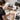 Deep tissue massage technique using oil and gel on a client's back, emphasizing pressure scaling and communication for pain-free results.
