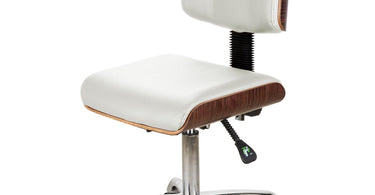 Eira Luxury Esthetic Stool with Back Support in White by Silver Spa