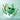 Lotus Touch Showerless Seaweed Gel Wrap for spa and salon professionals