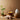 Eco-friendly spa design with natural elements and sustainable decor