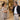Professional spa setting illustrating how to handle a client taking a speakerphone call while maintaining a peaceful treatment environment
