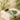 Professional Jade Roller and Gua Sha Set for spa treatments