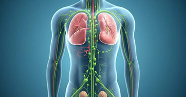 Spa therapist performing Manual Lymphatic Drainage massage
