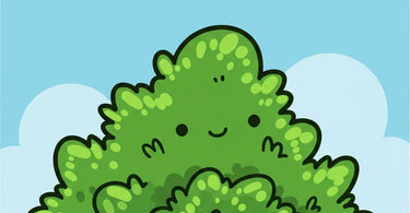 Professional hard wax application for pubic hair removal in a spa setting