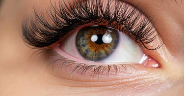 Close-up of beautifully applied long-lasting lash extensions