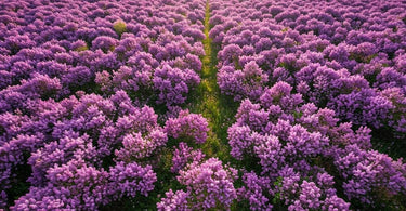 OPI Do You Lilac It? Nail Polish Bottle