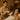 Massage therapist performing a relaxing back massage on client at spa