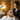 Comparison between rosacea symptoms and facial treatments