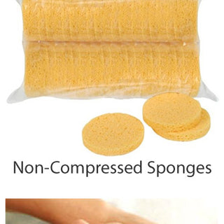 Compressed or Not Compressed... That is the Question (when it comes to sponges!)