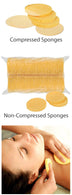 Compressed or Not Compressed... That is the Question (when it comes to sponges!)