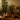 Spa professional performing Ayurvedic massage with herbal oils in a serene treatment room