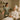 A serene spa environment showing a comforting therapist hand on a client's shoulder during a consultation