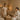 Spa professional discussing appointment policy with client in a warm, professional setting