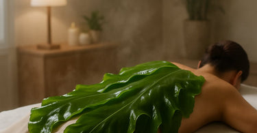 Professional seaweed body wrap treatment in a spa setting