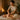 Therapist performing Tui Na Chinese medical massage techniques on a client's back
