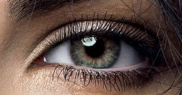 Before and after images showcasing the results of an eyelash tint and lift procedure.
