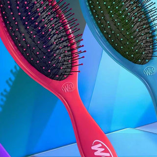 Wet Brush for Detangling and Hair Care Innovations