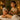 Professional hot stone massage setup with smooth basalt stones and spa accessories