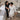 A professional spa staff member carefully and safely guiding a relaxed client from a massage table during an emergency drill, showcasing safe client handling.
