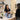Why The Checkout Area Should Support Retail Conversations