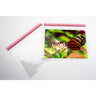 1.25 Mil Polypropylene Lip & Tape Bags - 10"W x 8"L / 1 Case (1,000 per Case)