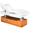3 Motor Electric Dual Purpose Facial Bed / Massage Bed With Wooden Drawers by Meishida