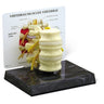 3 Piece Vertebrae With Key Card - Model