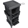 4-Tray Lockable Trolley by Celebrity