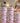 Spa Choice Rose Creamy Soft Wax Tin / Case of 8 - 14 oz. - 397 grams per Can by Waxness