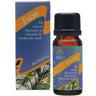 Absolute Aromas - Focus Aromatherapy Blend / 10 mL.