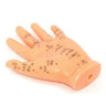 Acupunture Points - Hand Model - 5" by Acupuncture Models