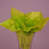 Aloe Tissue Paper 20"x30" / 480 sheet