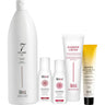 Aloxxi Tones Demi-Permanent Colour - Small Salon Opener