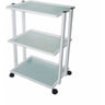 Alvida Metal Trolley with 3 Mat-Glass Shelves and 4 Casters