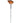Angled Fan Brush by Fantasea