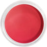 Artisan EZ Dipper Colored Acrylic Nail Dipping Powder - Blooming Poppy Red / 1 oz. (28.35 grams)