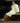 Basic Kimono Robe - Full Loop Terry 100% Cotton - 12 oz. / Ecru by Boca Terry