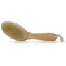 Bath & Body Brush - Natural Bristle Contour Body Brush - Dry Brush / 10"