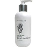 Body Wash - Green Tea Mint / 8 oz.