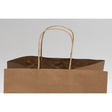 Brown Kraft Paper Bags with Twisted Paper Handle - 12"W x 10"D x 12"H / 1 Case (250 per Case)