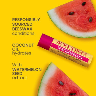 Burt's Bees Freshly Picked Lip Balm / 4 Pack