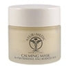 Calming Mask / 2 oz. by Ayur-Medic Skincare