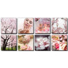 Canvas Murals - Pink Cherry Blossoms Ensemble by Alfalfa