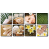 Canvas Murals - Tropical Plumeria Ensemble by Alfalfa