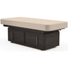 Celesta Electric Adjustable Height Spa Table / Flat Top with Storage Cabinet by Oakworks